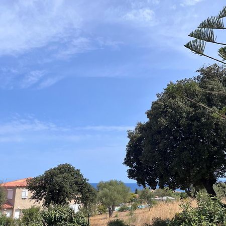 Appartement Rez De Villa LʼÎle-Rousse Екстериор снимка
