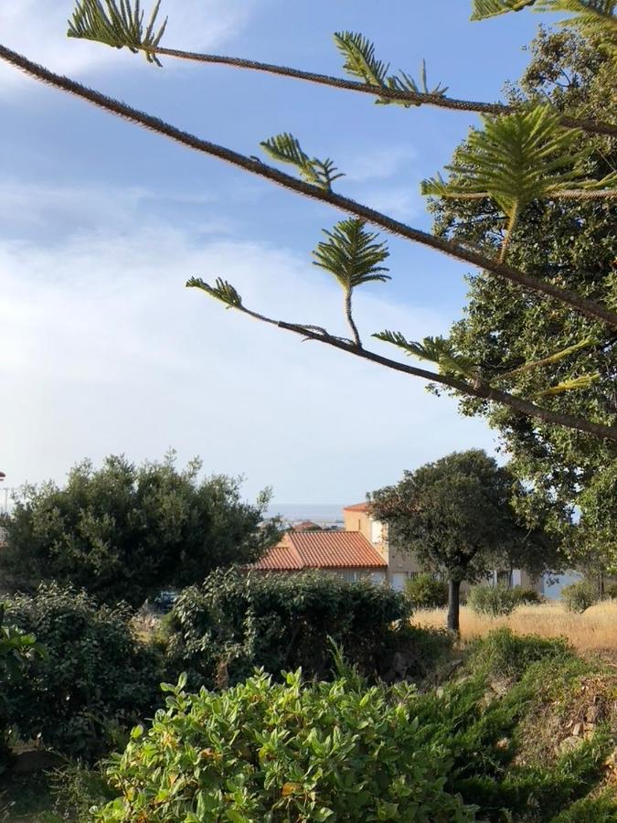 Appartement Rez De Villa LʼÎle-Rousse Екстериор снимка