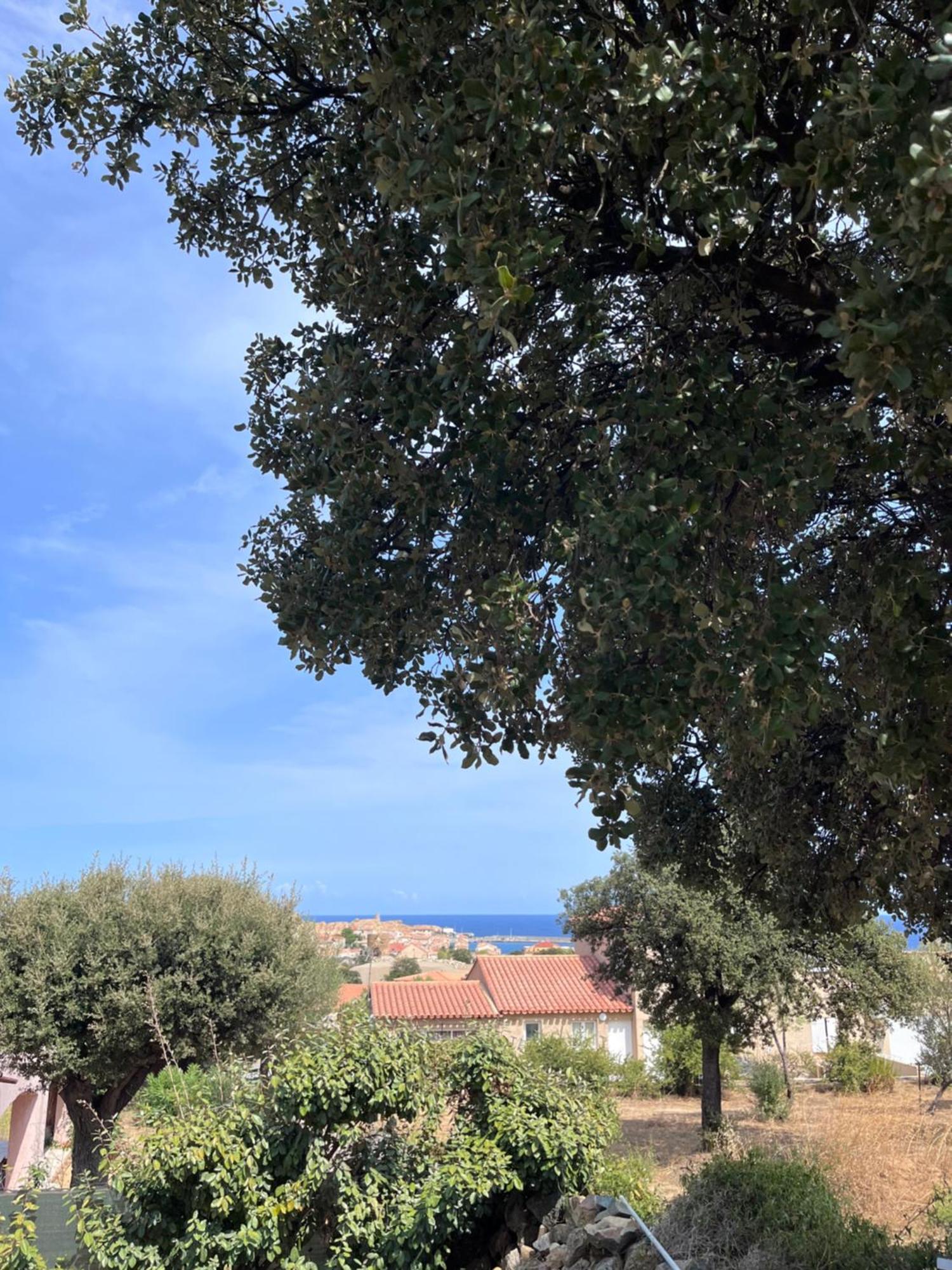 Appartement Rez De Villa LʼÎle-Rousse Екстериор снимка